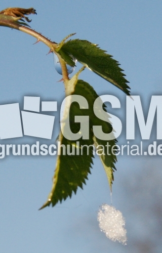 Winterimpressionen 064.jpg